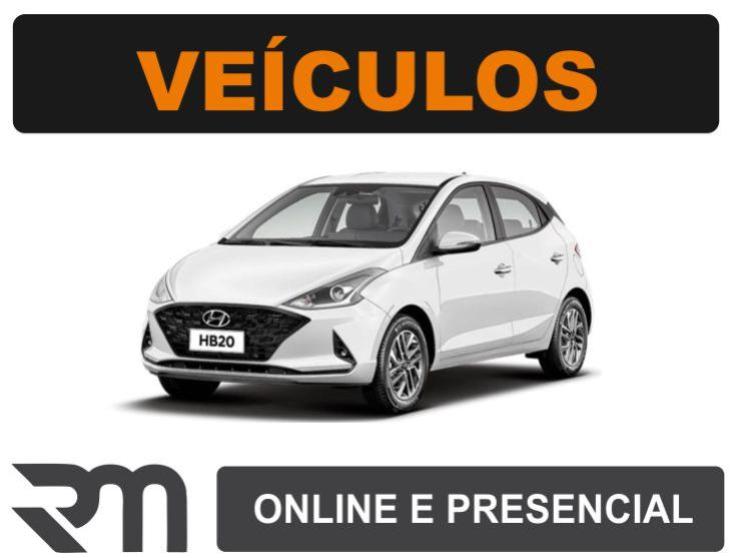 Leilão de Veículos 